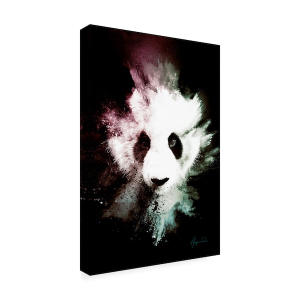 Philippe Hugonnard 'Wild Explosion Collection - The Panda' Canvas Art,22x32